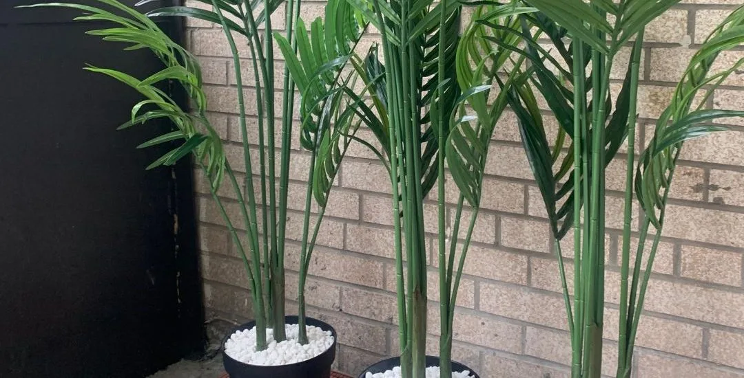 IKEA Fejka Artificial Plant image 2