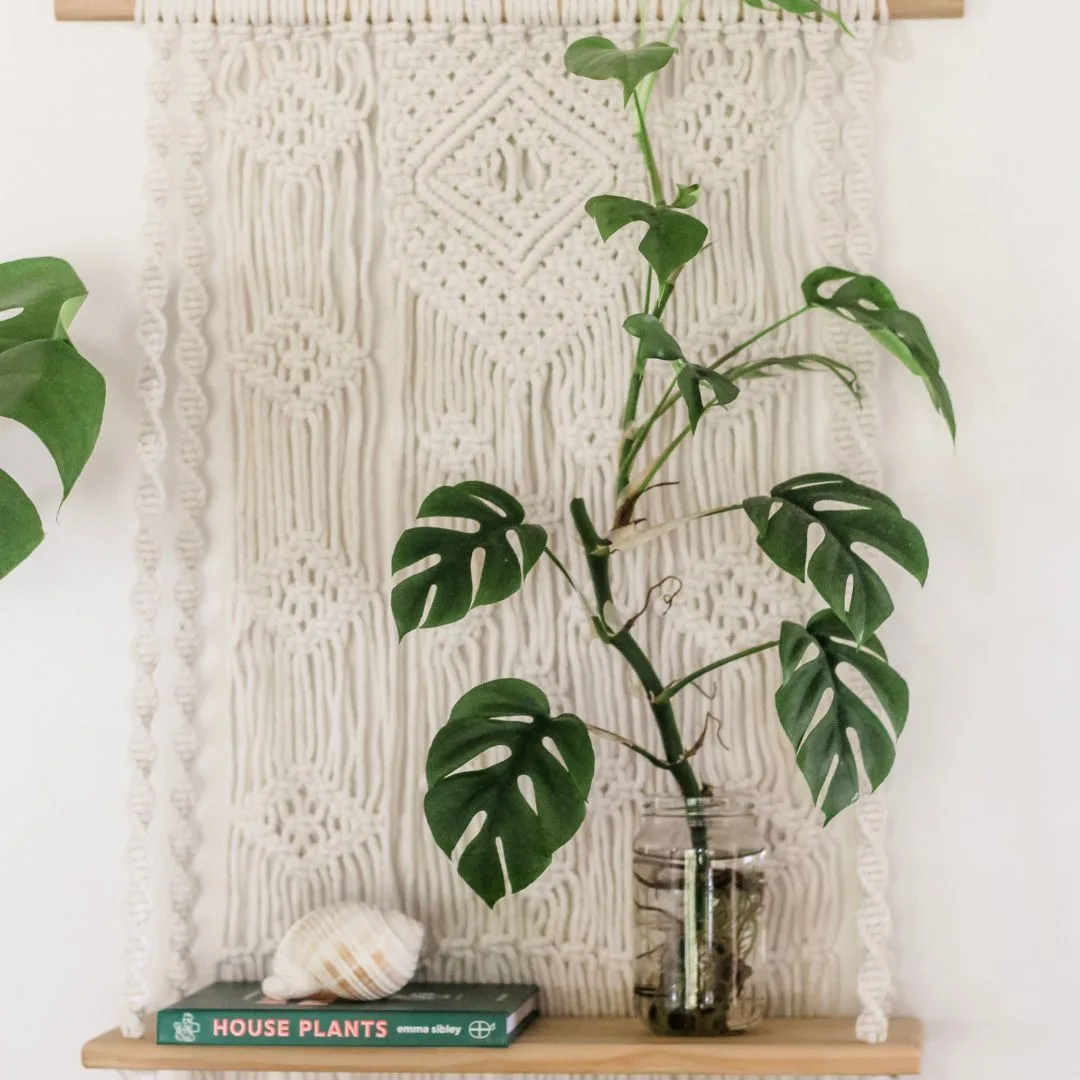 Ophelia Co Macrame Shelf