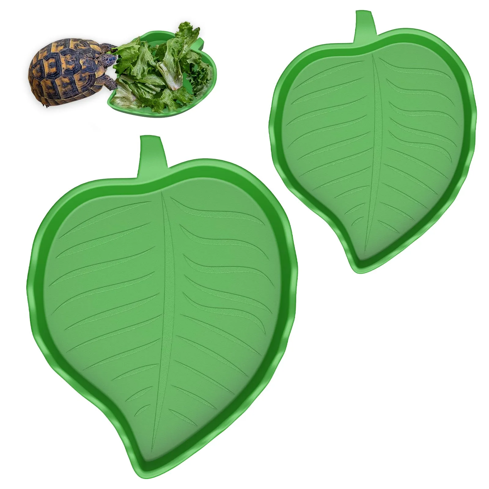 Qualy Leaf Dish image 2